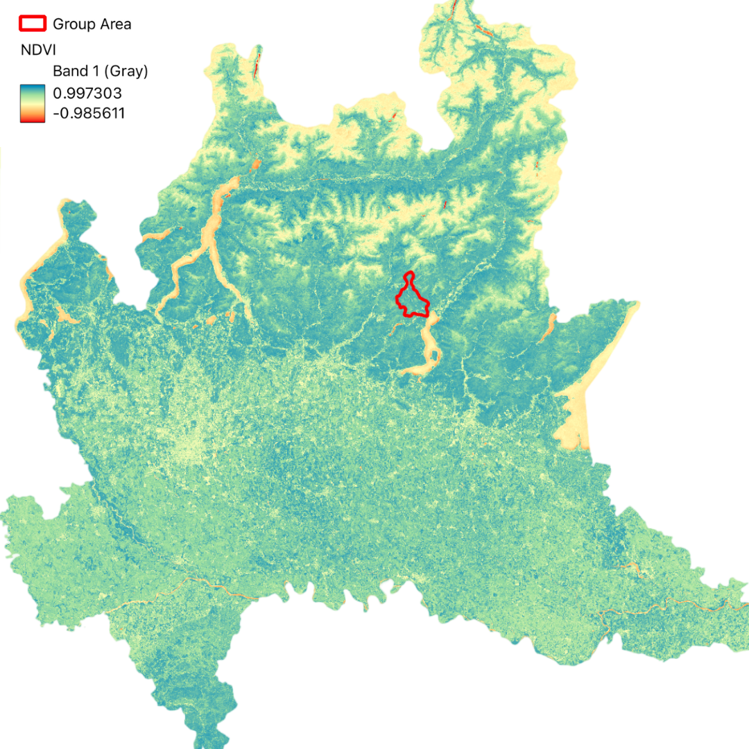 NDVI Input